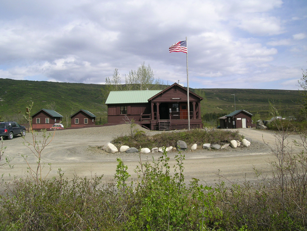 NPGallery Asset Detail