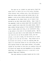 Letter, Dorr to Ogden, November 7, 1904 p.31(copy)