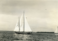 BLUE HILL REGATTA - SAILING SCHOONER