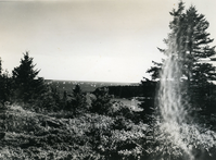 SAILBOAT RACES FROM ASTICOU TERRACES