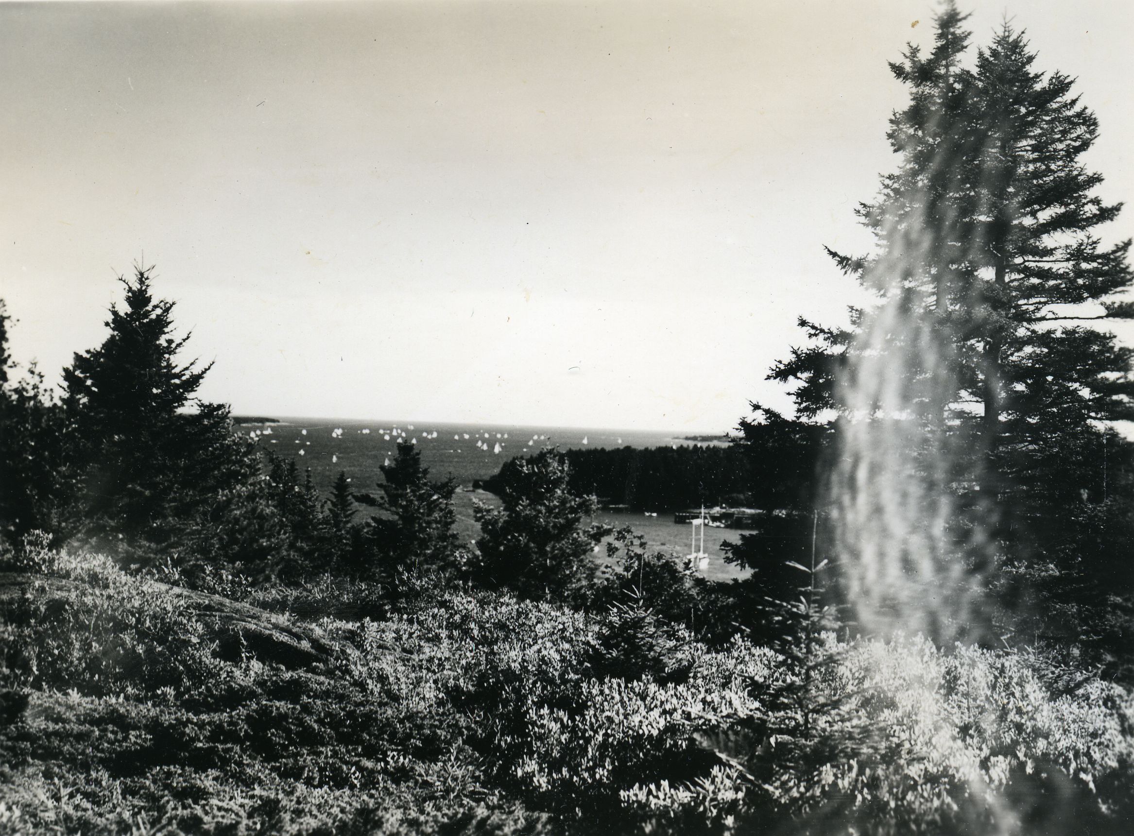 SAILBOAT RACES FROM ASTICOU TERRACES