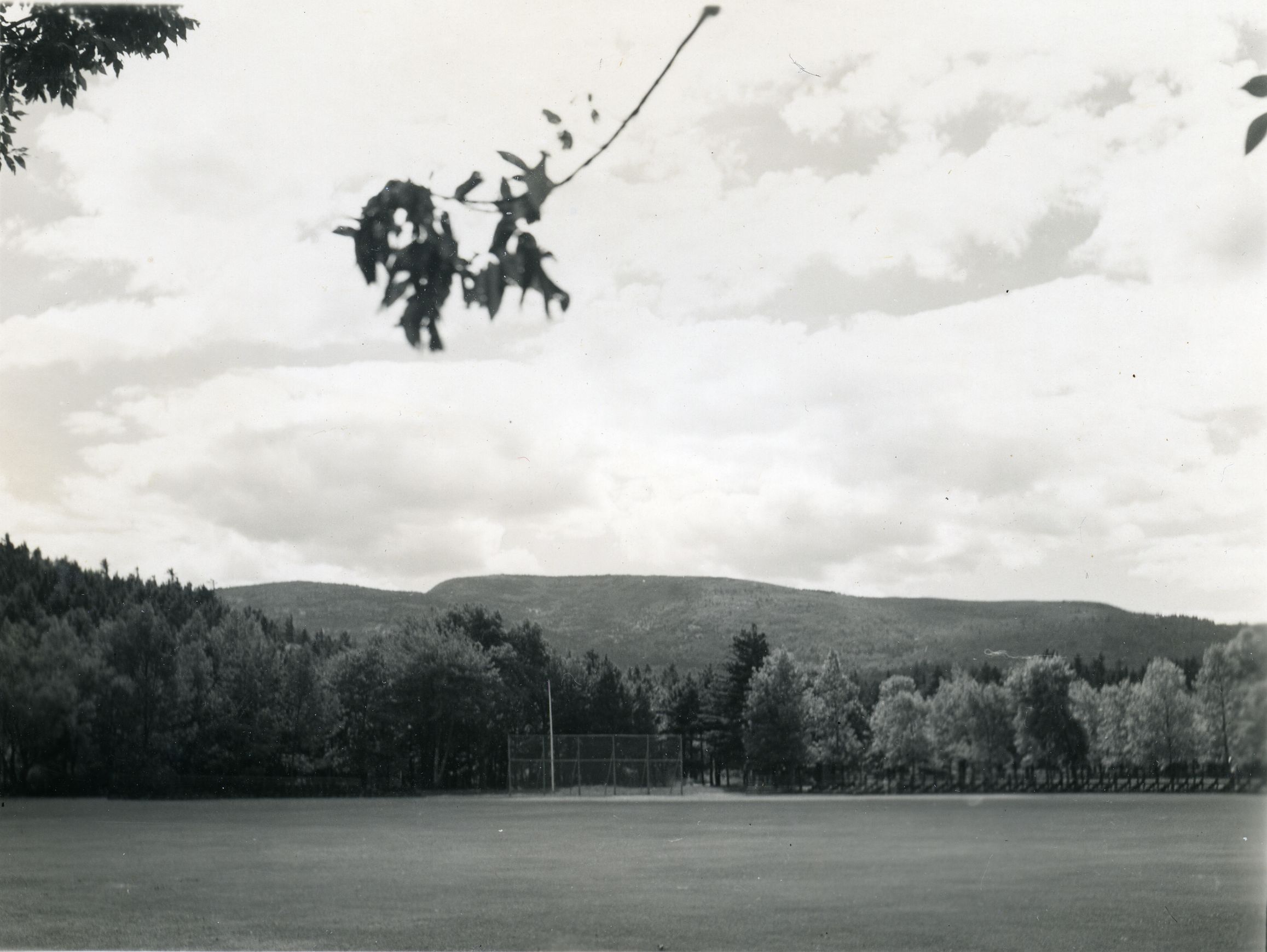 CADILLAC MT. FROM PARK OFFICE
