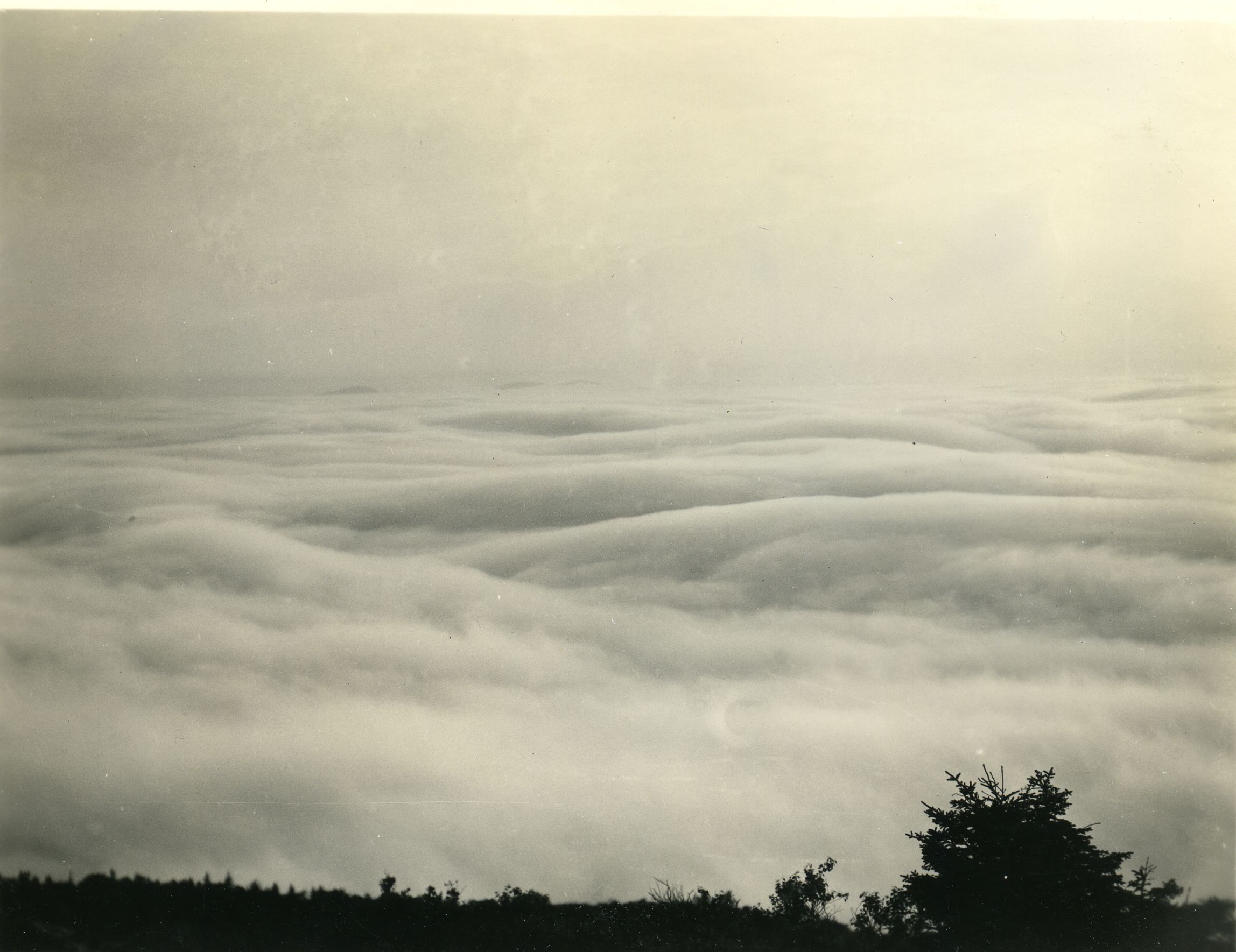 SEA OF FOG FROM CADILLAC MT.