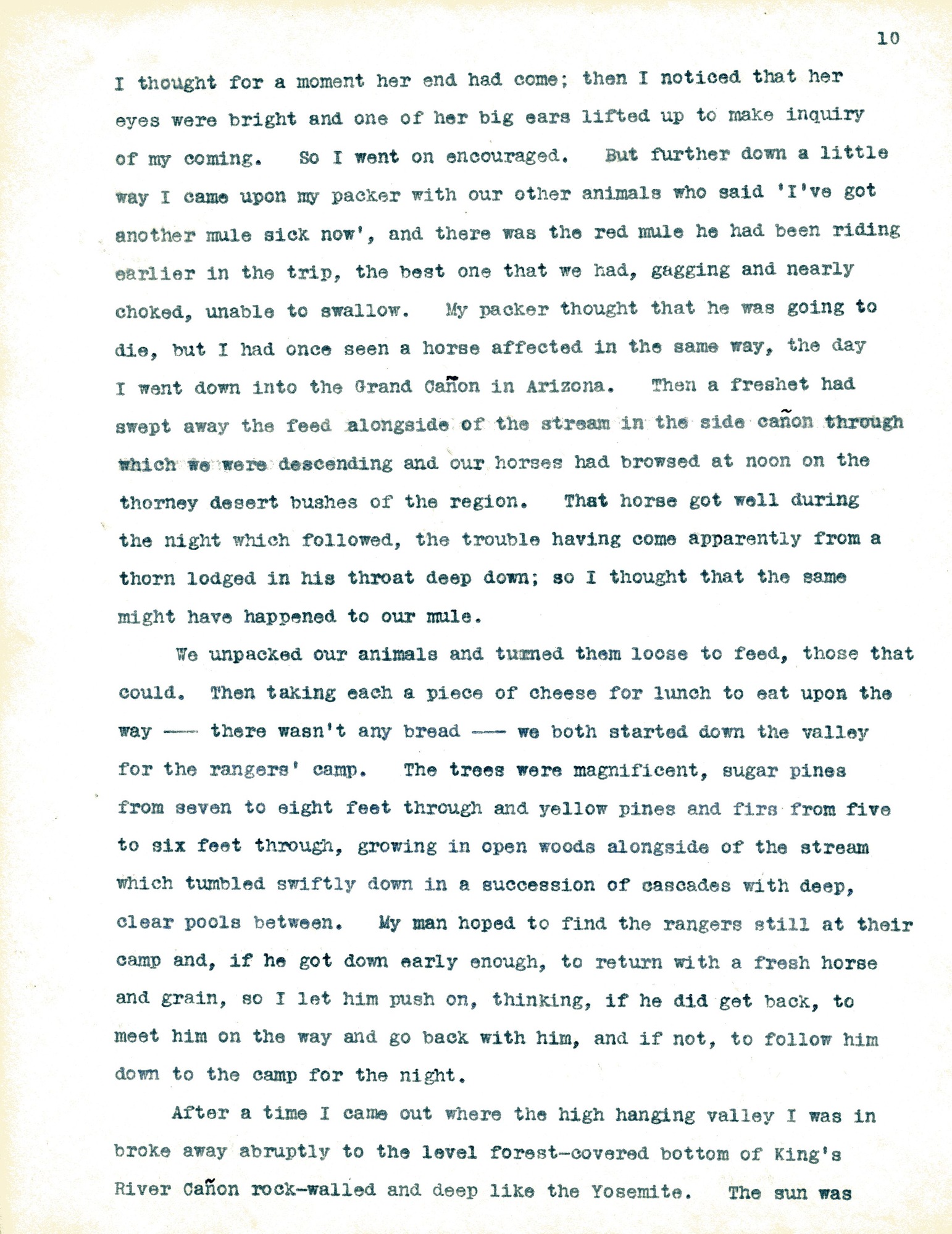 Letter, Dorr to Ogden, November 7, 1904 p.10(copy2)