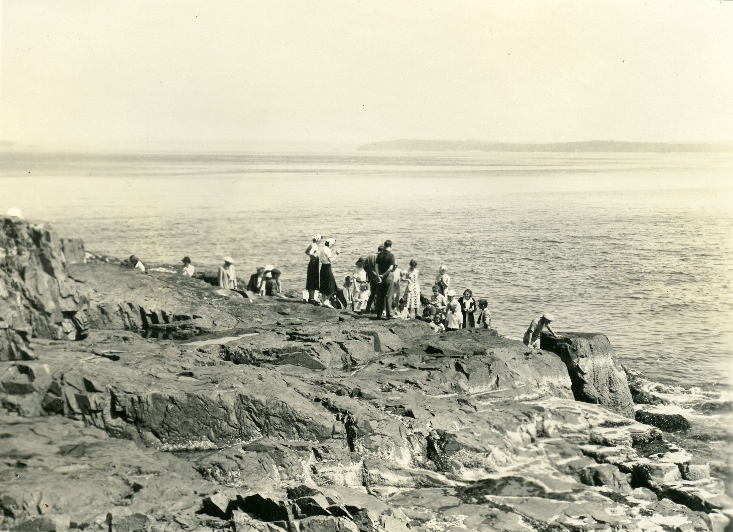 PARTY ON BURNT PORCUPINE