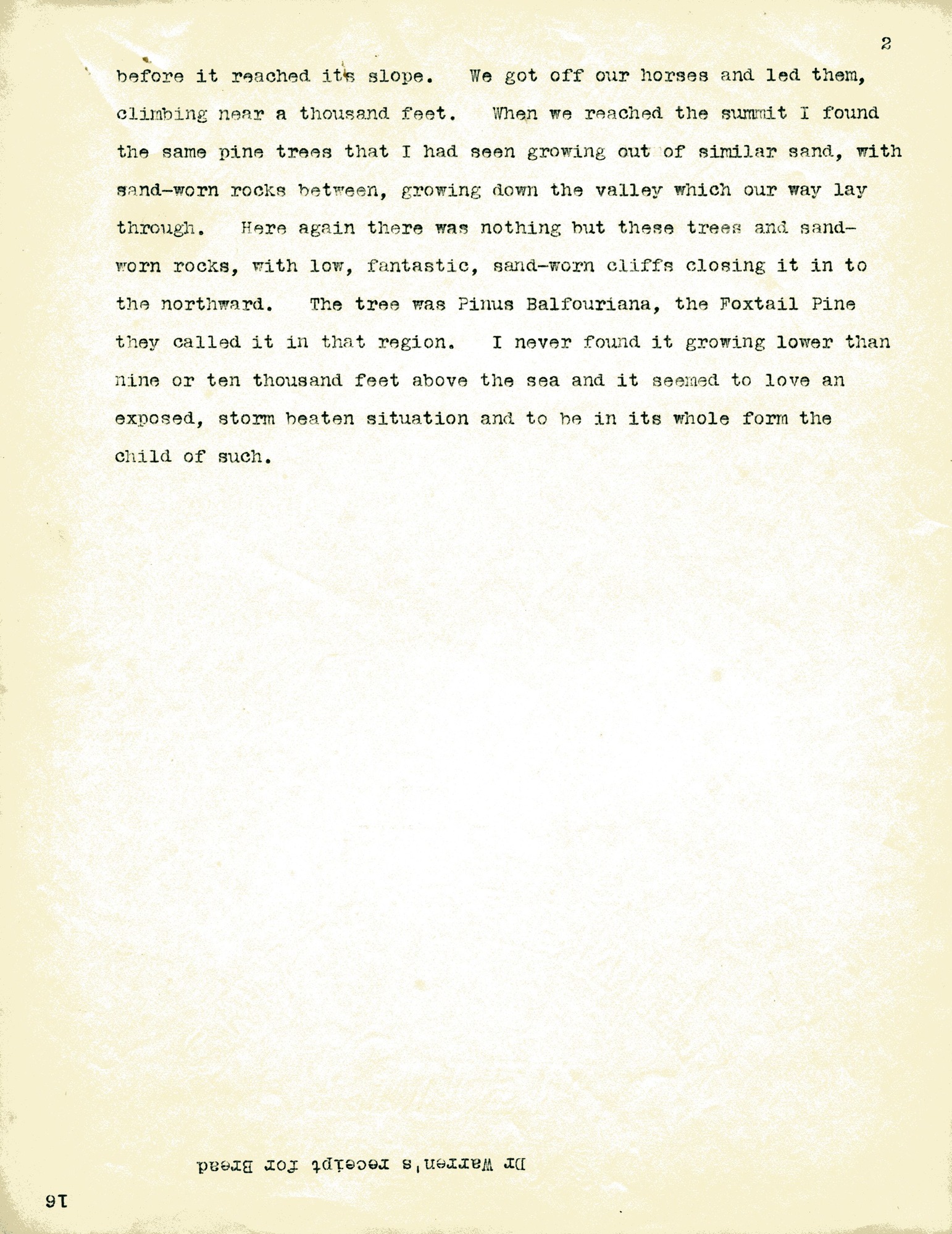 Journal, Dorr, nd.tif