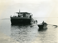 NARMADA OFF BURNT PORCUPINE