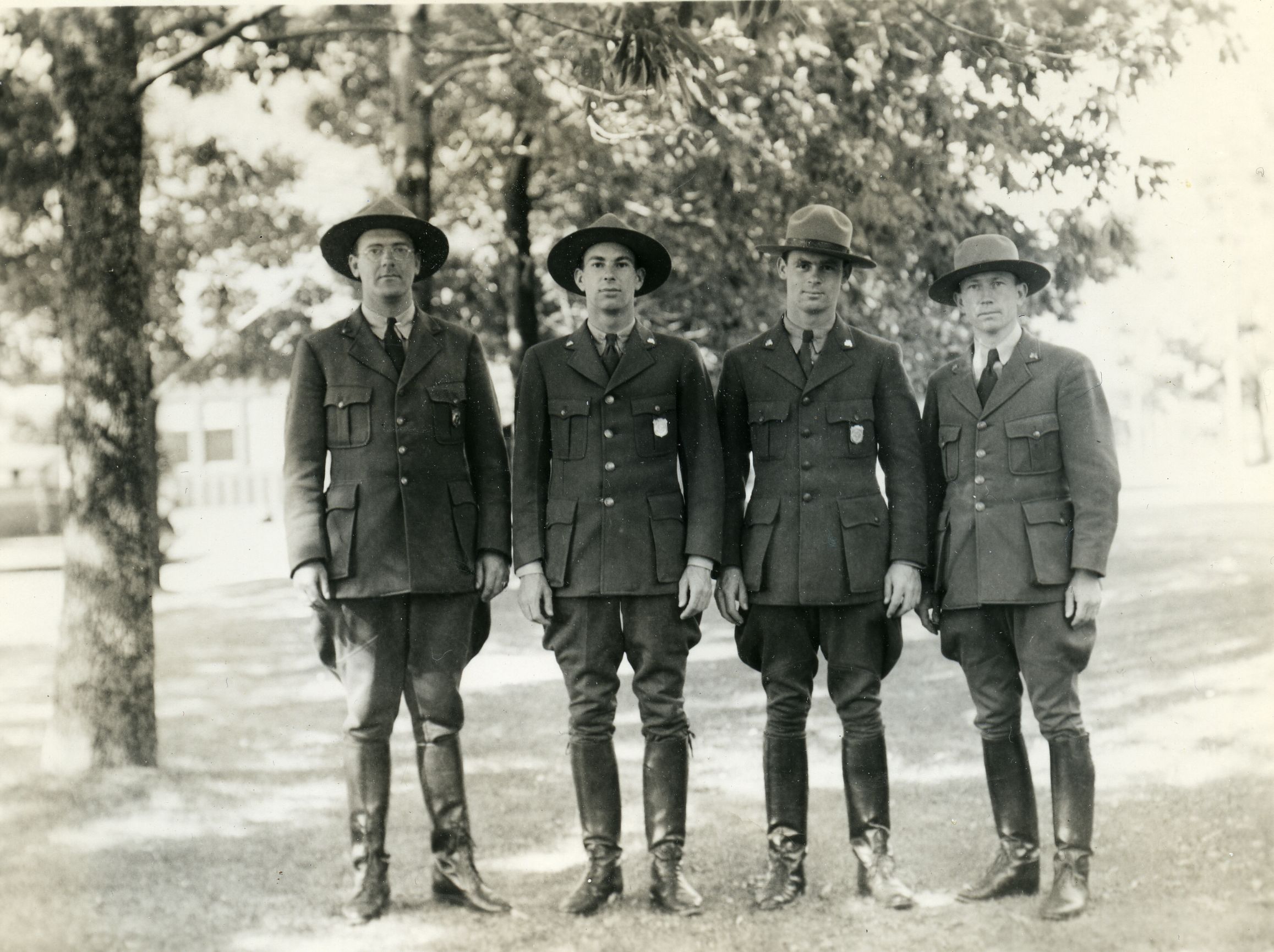 NATURALIST FORCE UNDER TREES