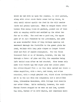 Letter, Dorr to Ogden, November 7, 1904 p.32(copy)