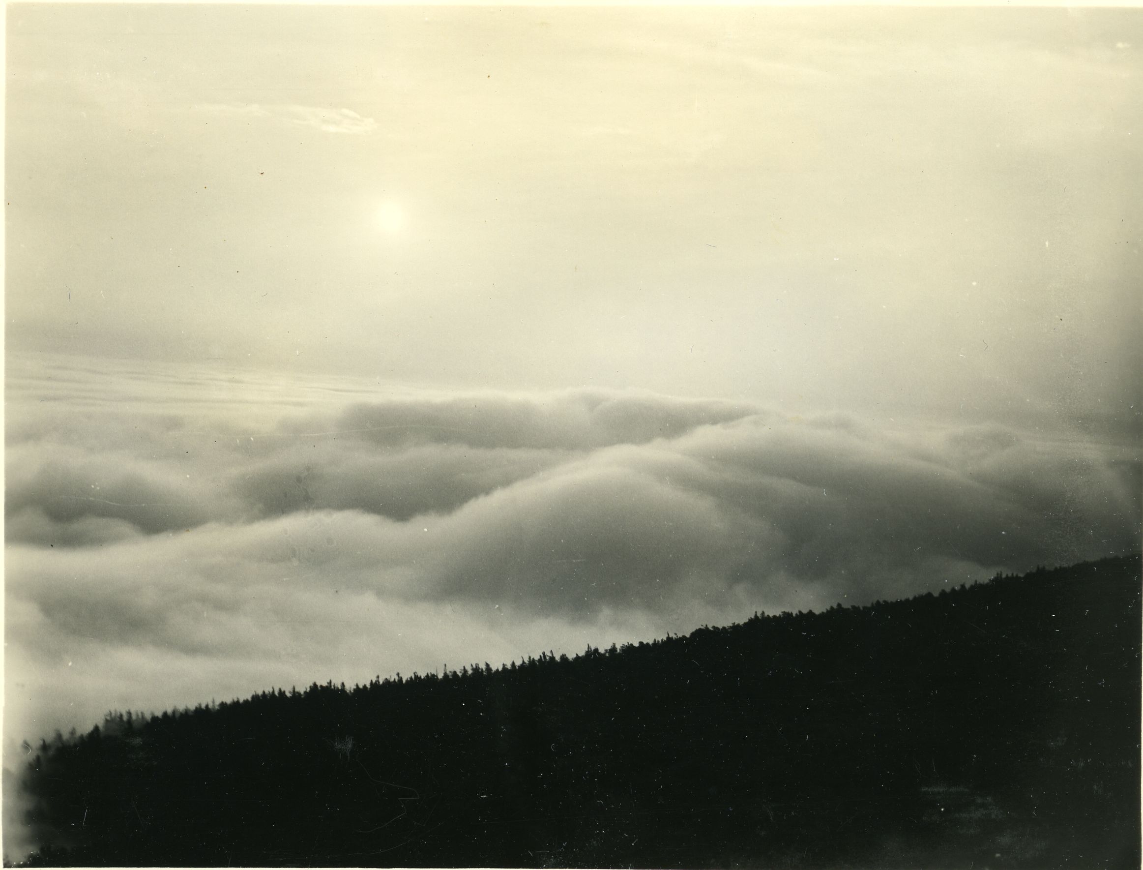 SEA OF FOG FROM MOUNTAIN ROAD