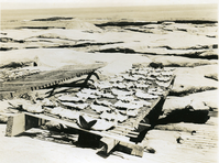 DRYING COD ON MT. DESERT ROCK