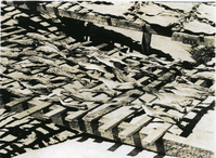 DRYING SMALL FISH ON MT. DESERT ROCK