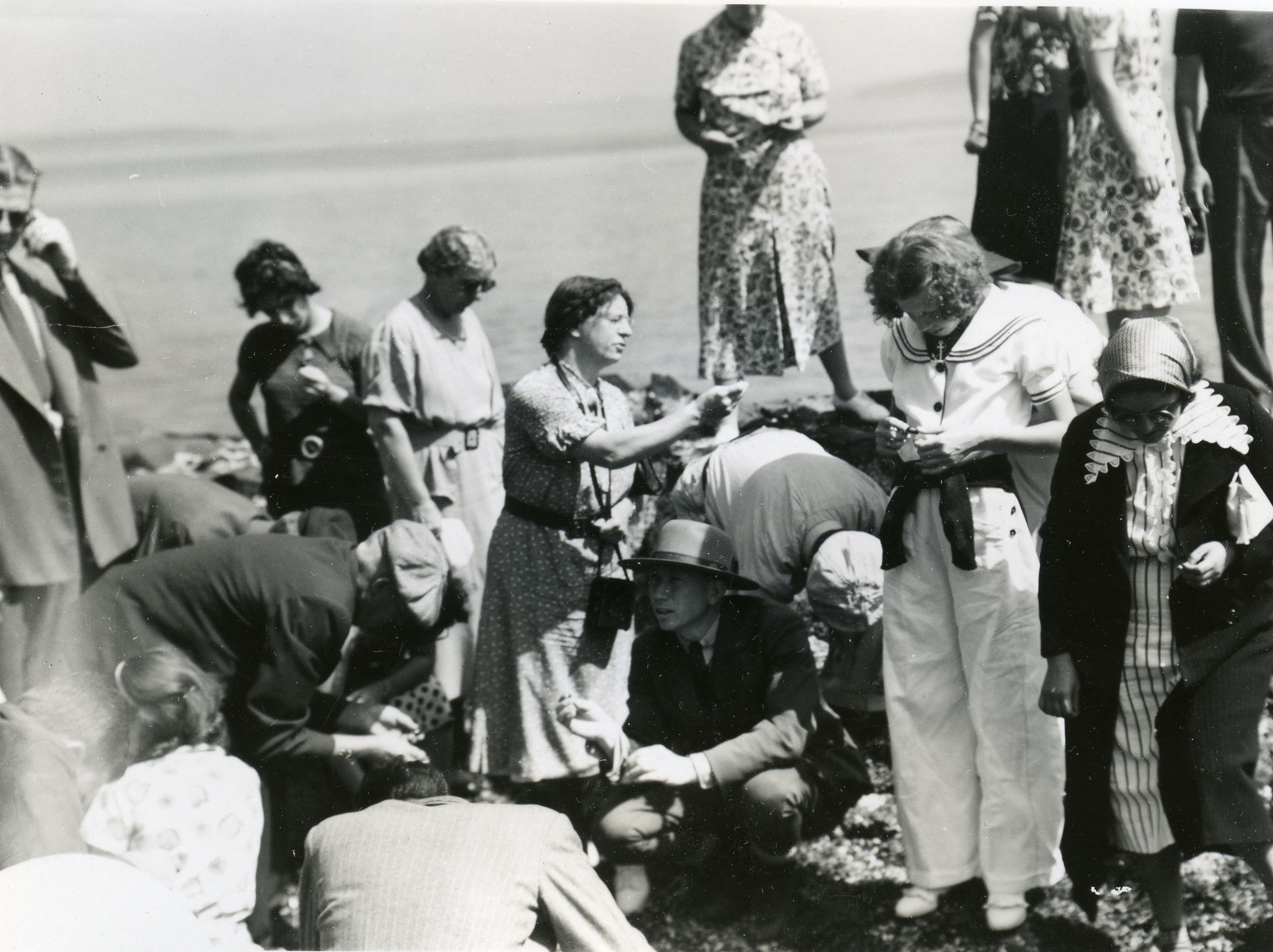 PARTY ON BURNT PORCUPINE