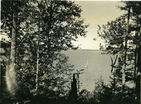 SAILBOAT THRU TREES NEAR OVENS