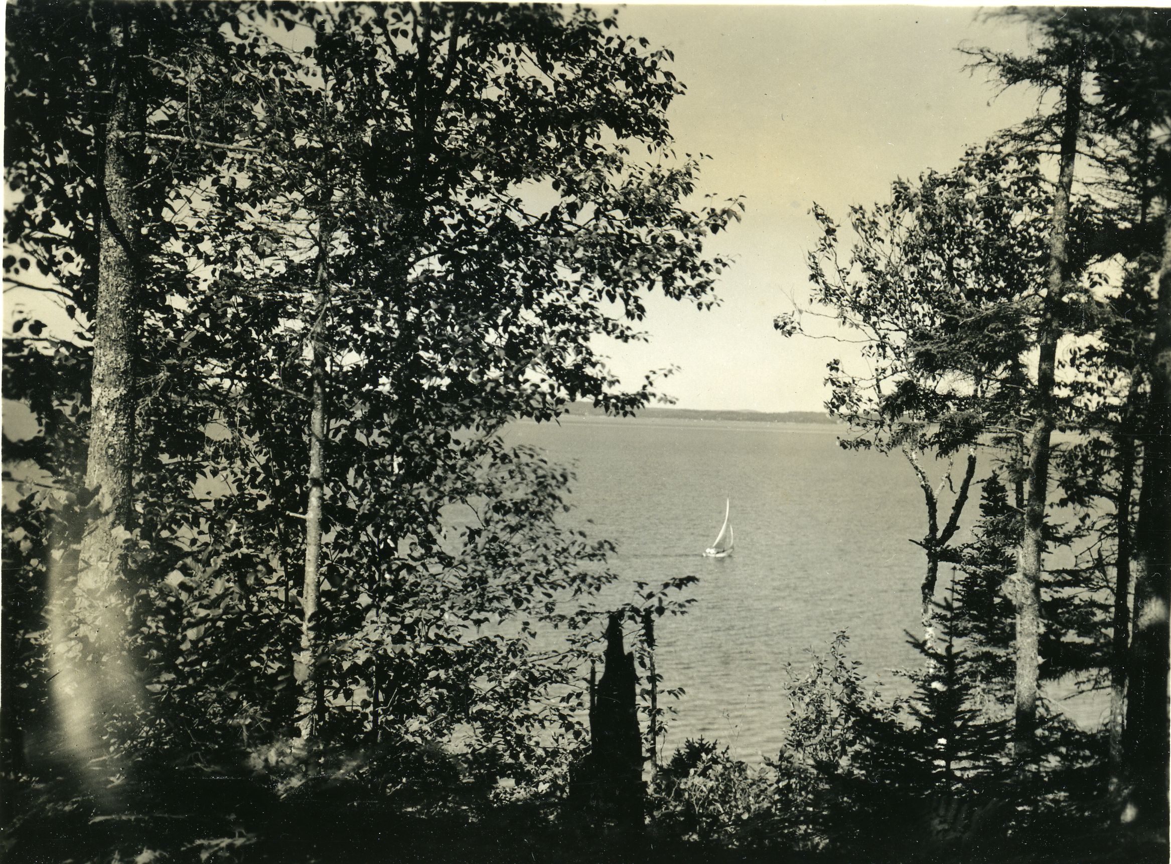 SAILBOAT THRU TREES NEAR OVENS