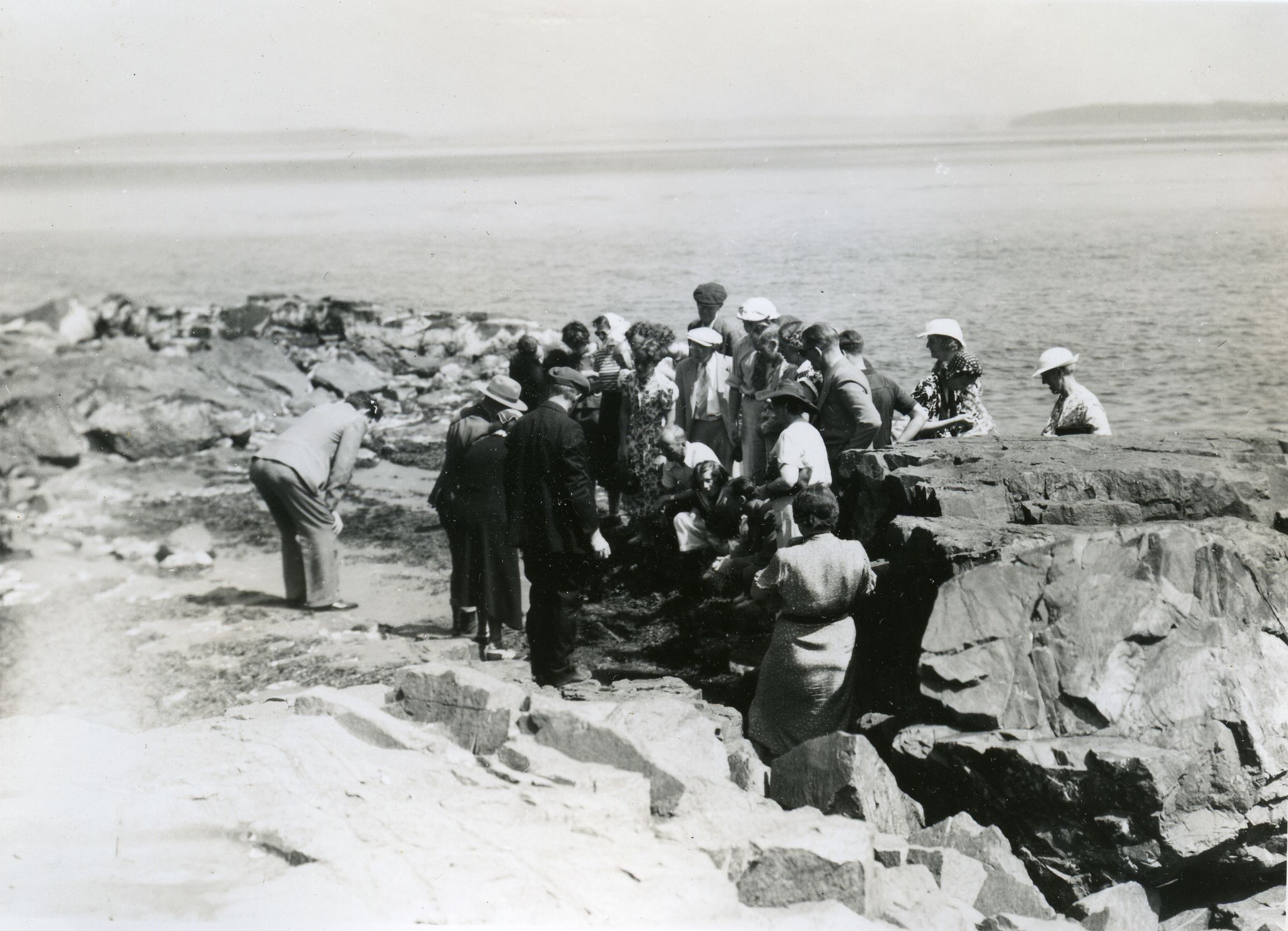 PARTY ON BURNT PORCUPINE