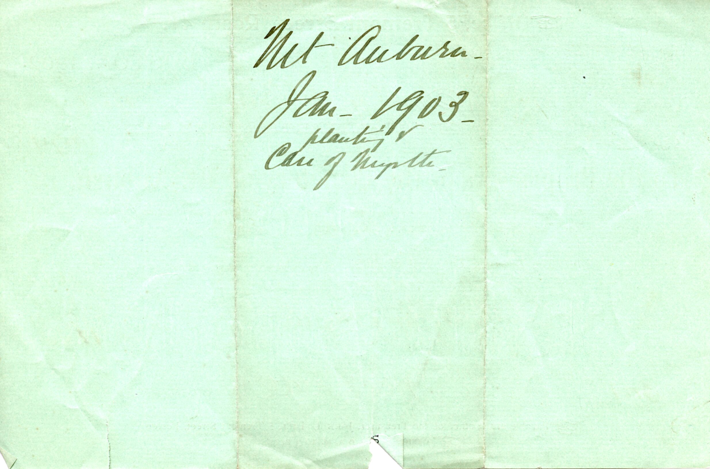 Document, Mt. Auburn to Dorr, January 14, 1903 p.2.tif