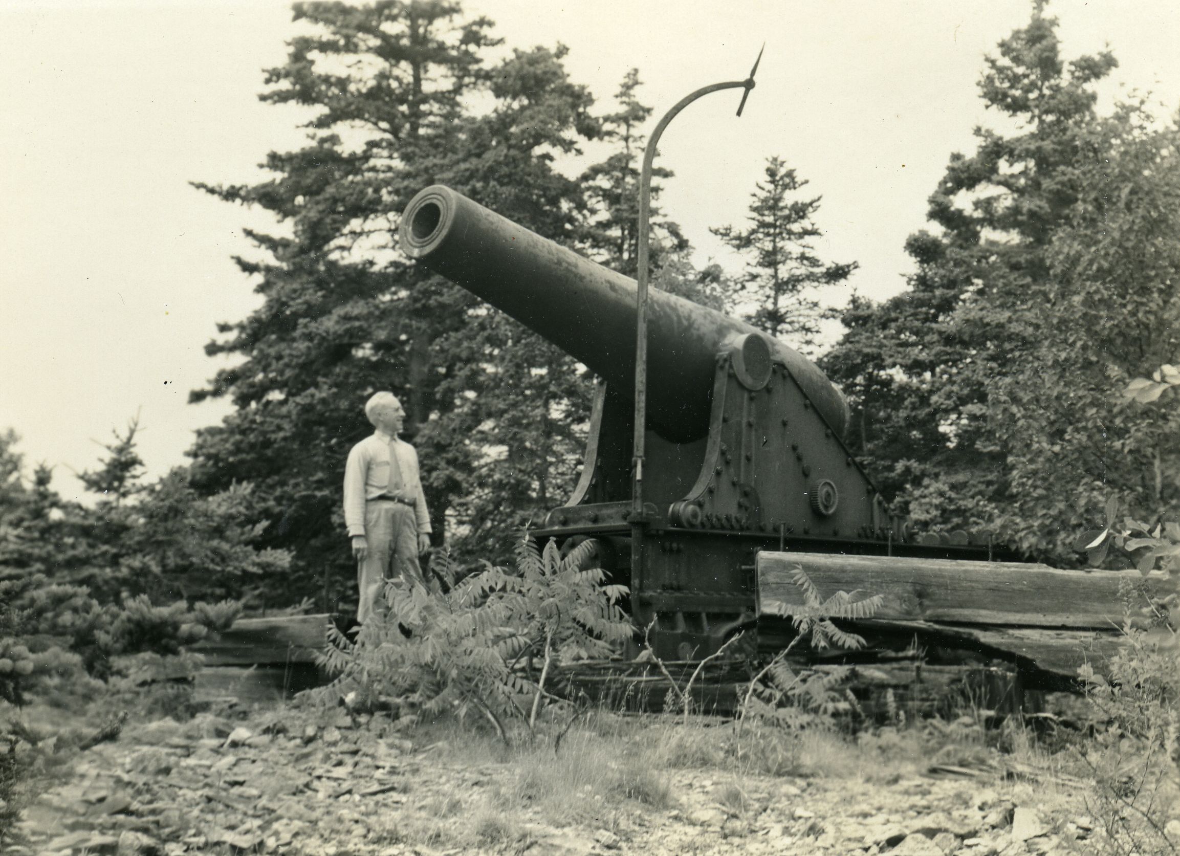 CANNON - SCHOONER HEAD - MR. CHADWICK