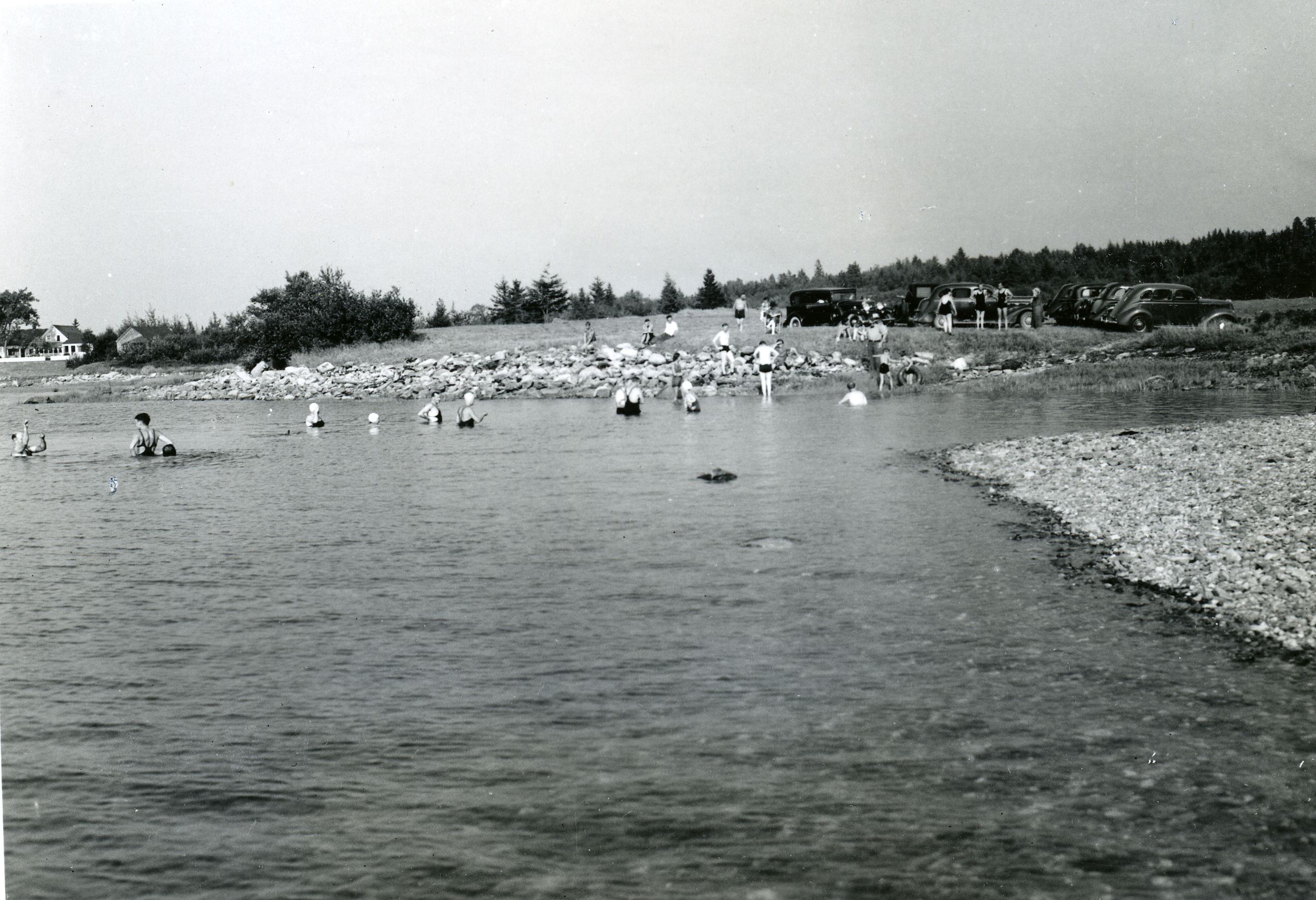 SWIMMING PARTY AT CLARK'S COVE