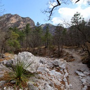 Guadalupe Ridge Trail