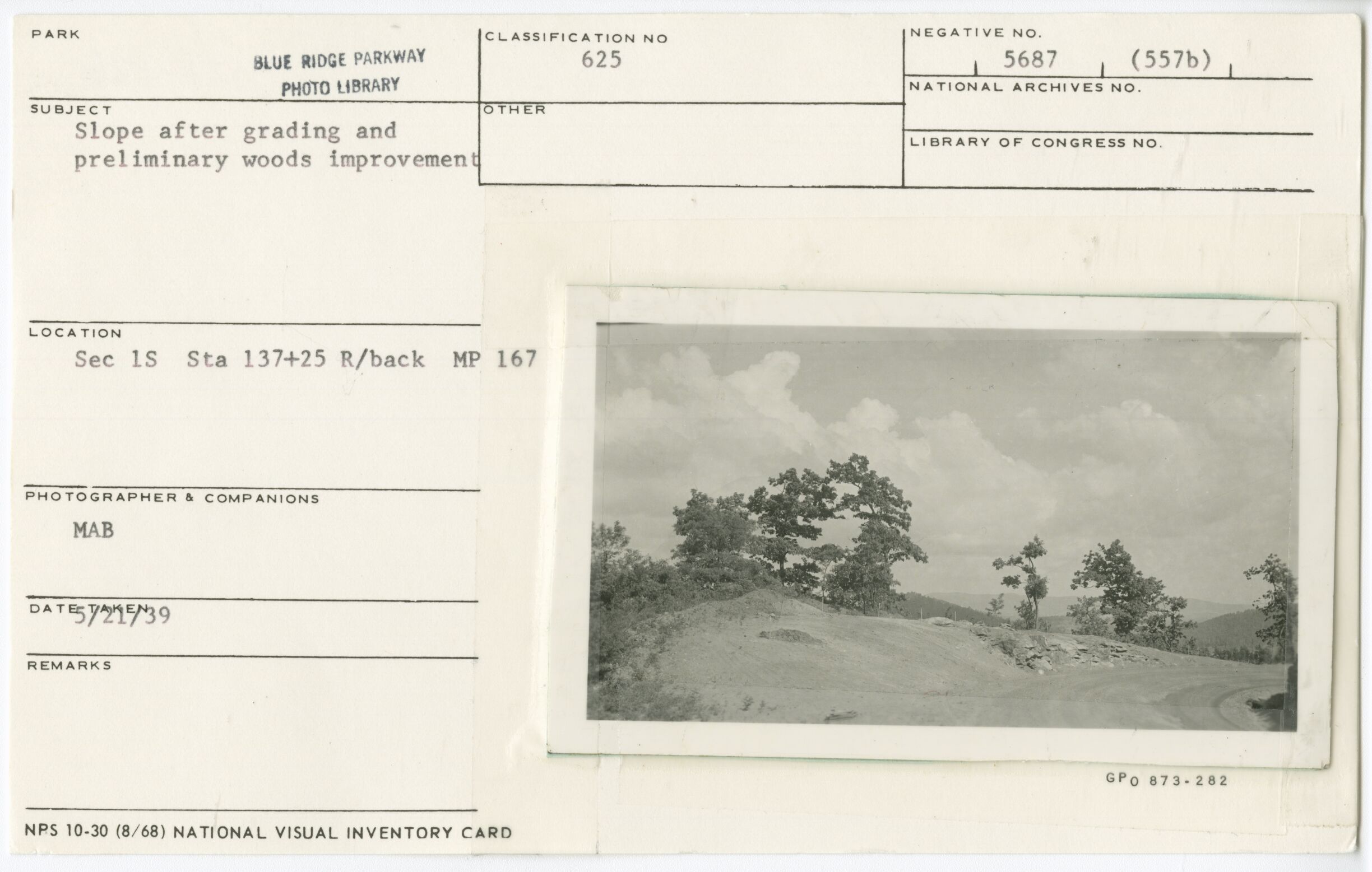 Slope after grading and preliminary woods improvement