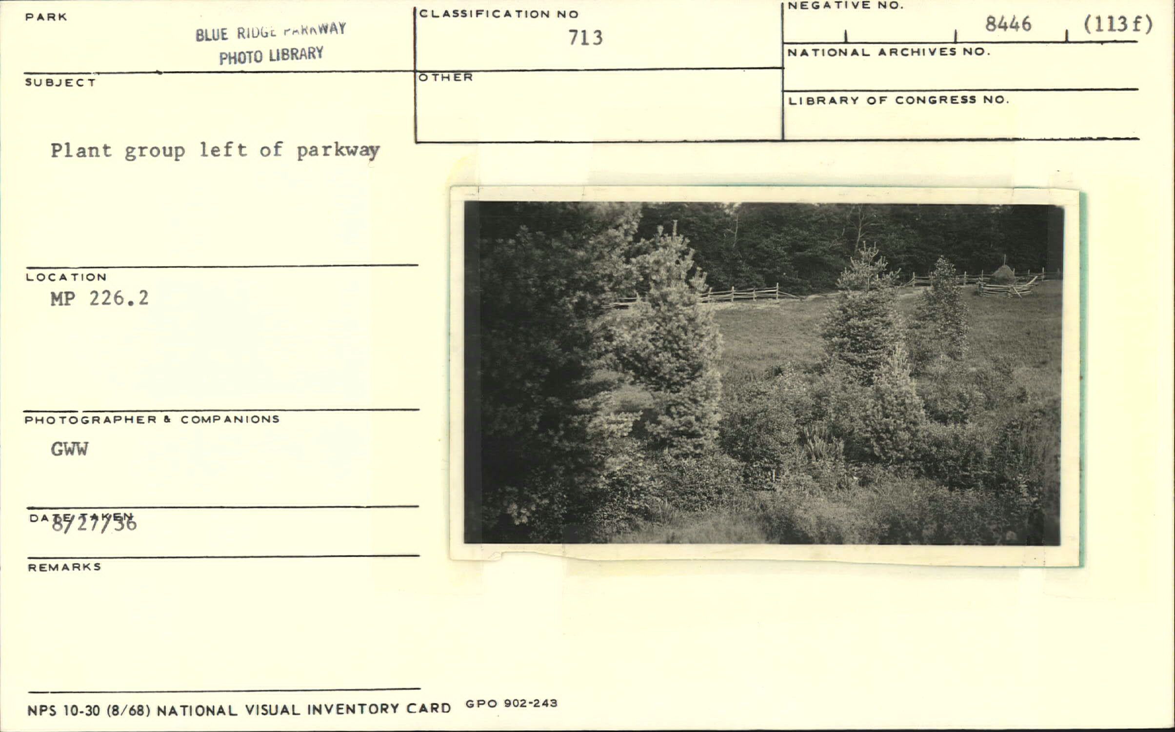 Plant group left of Parkway