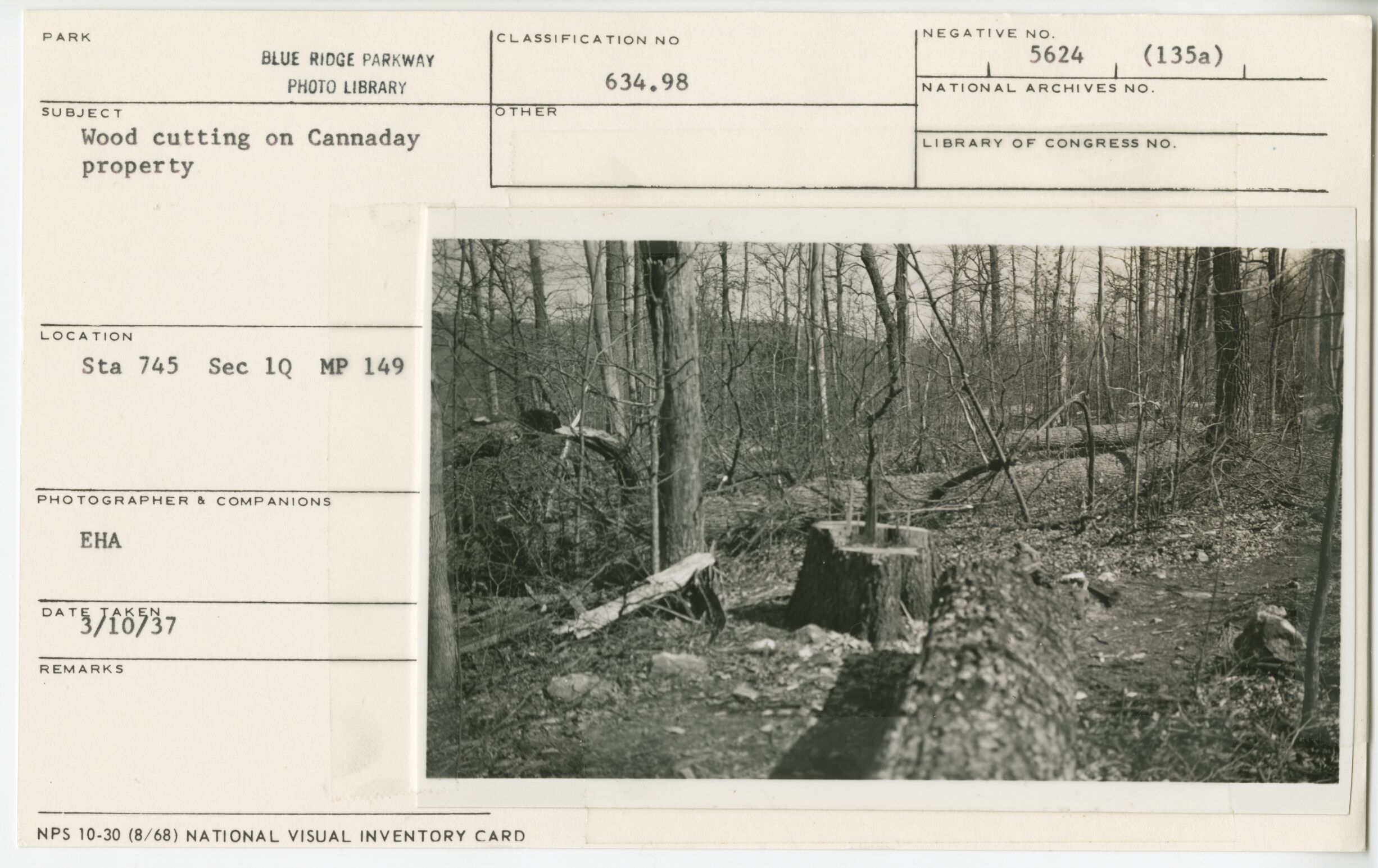 Wood cutting on Cannady property