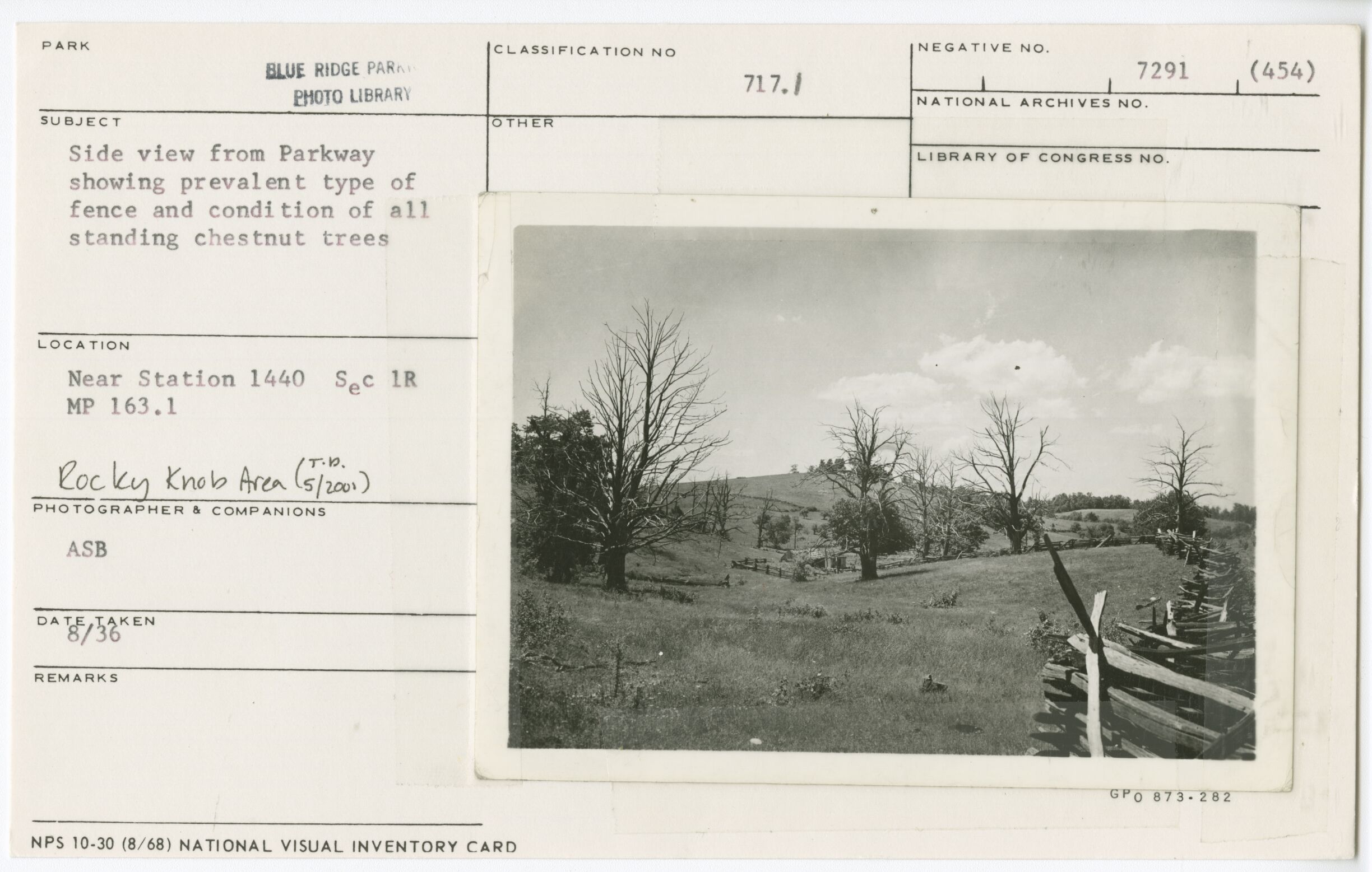 Side view from Parkway showing prevalent type of fence and condition of all standing chestnut trees