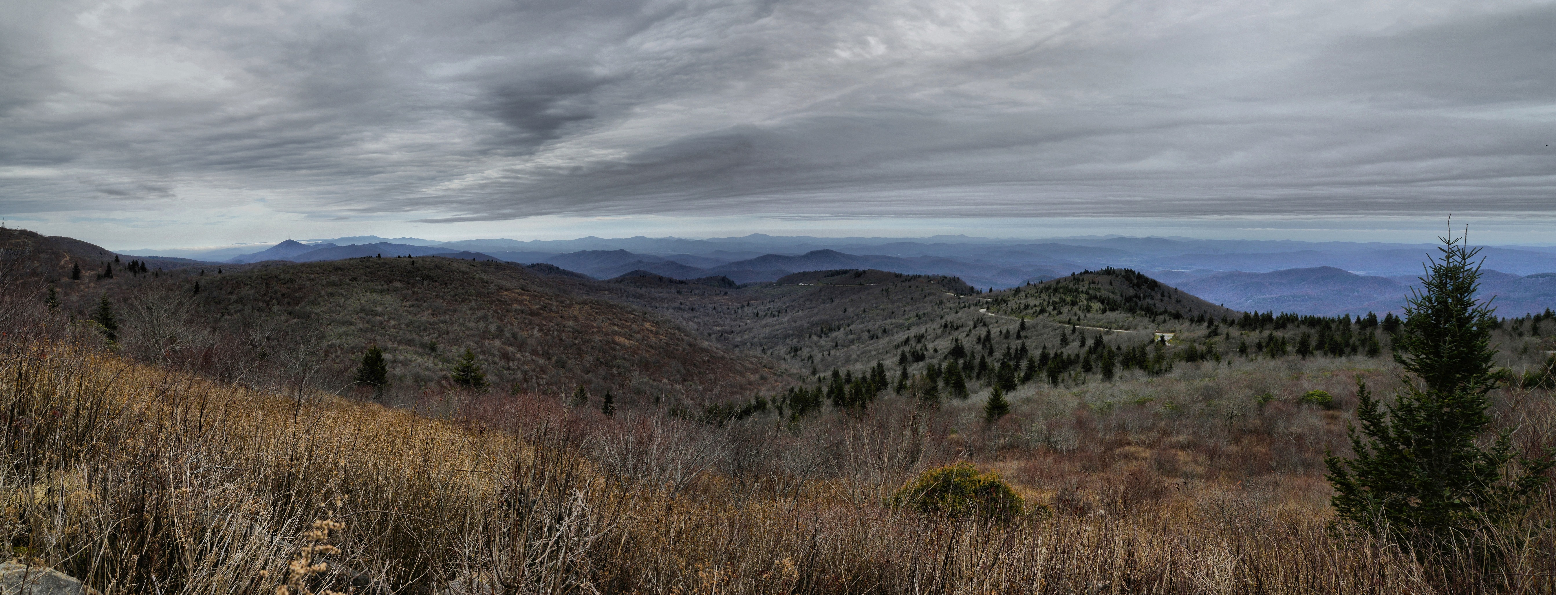 Graveyard Fields from Black Balsam