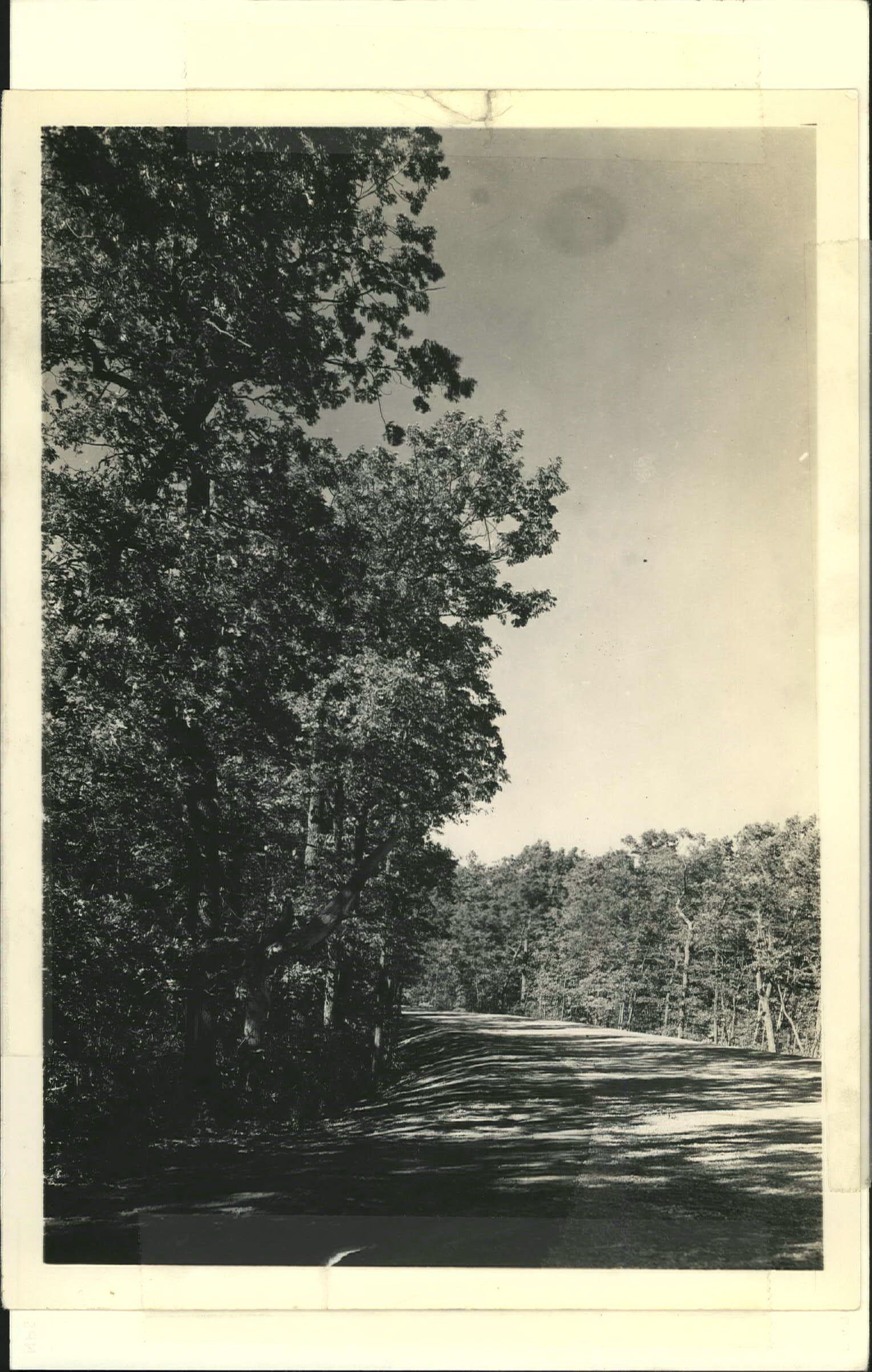 View looking north on Parkway