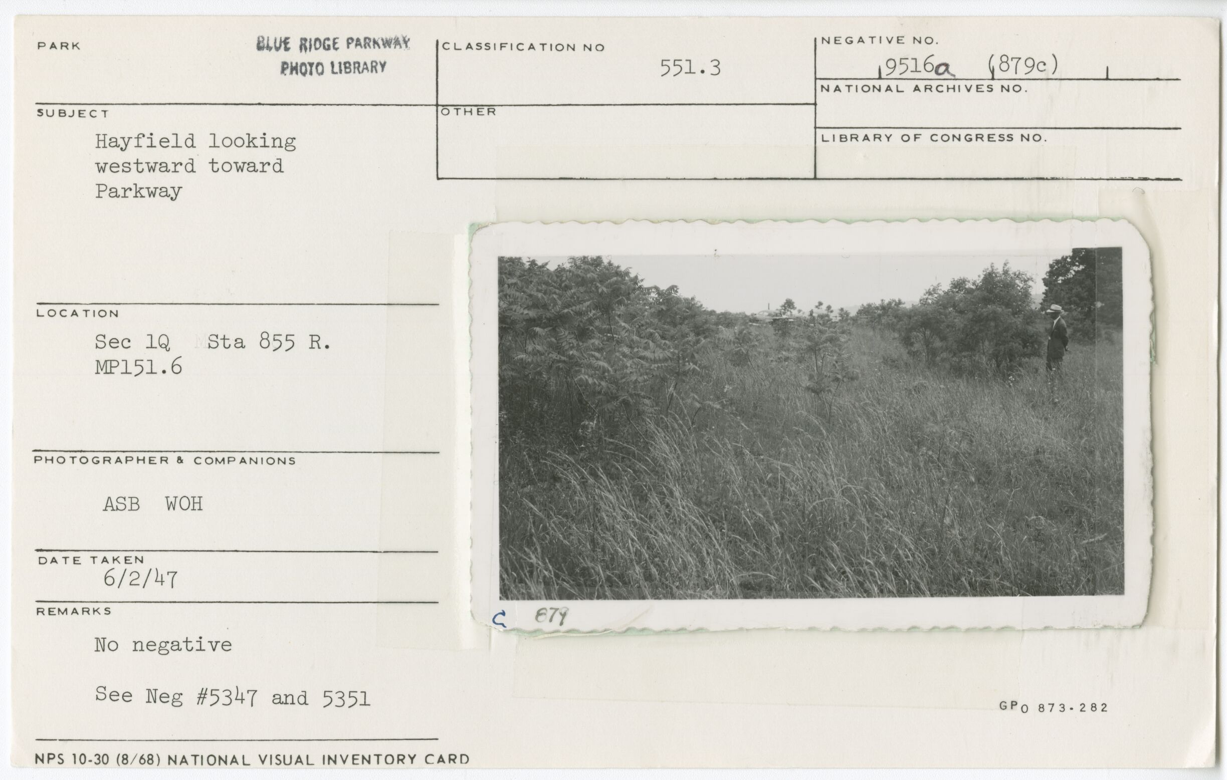 Hayfield looking westward toward Parkway