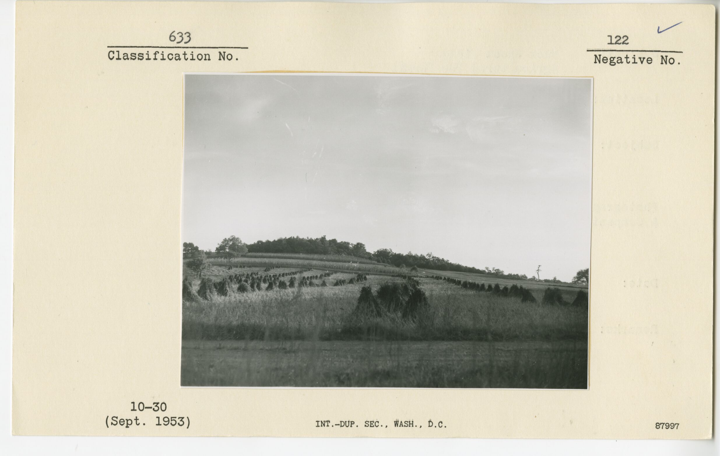 Buckwheat field through agricultural use permit