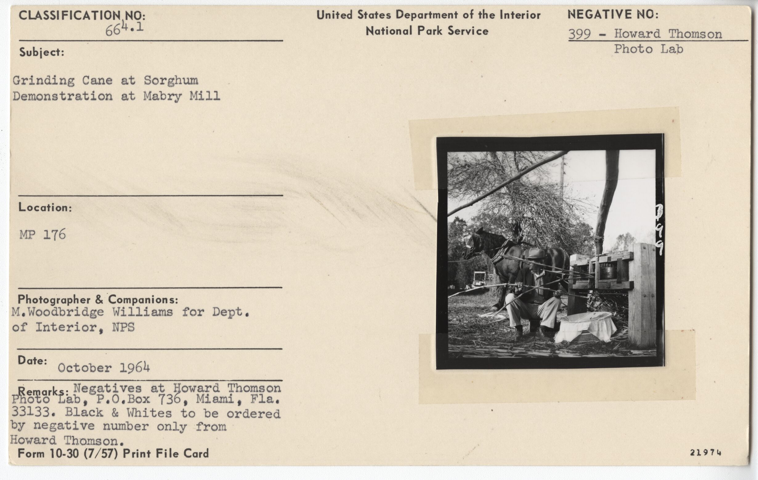 Grinding Cane at Sorghum Demonstration at Mabry Mill