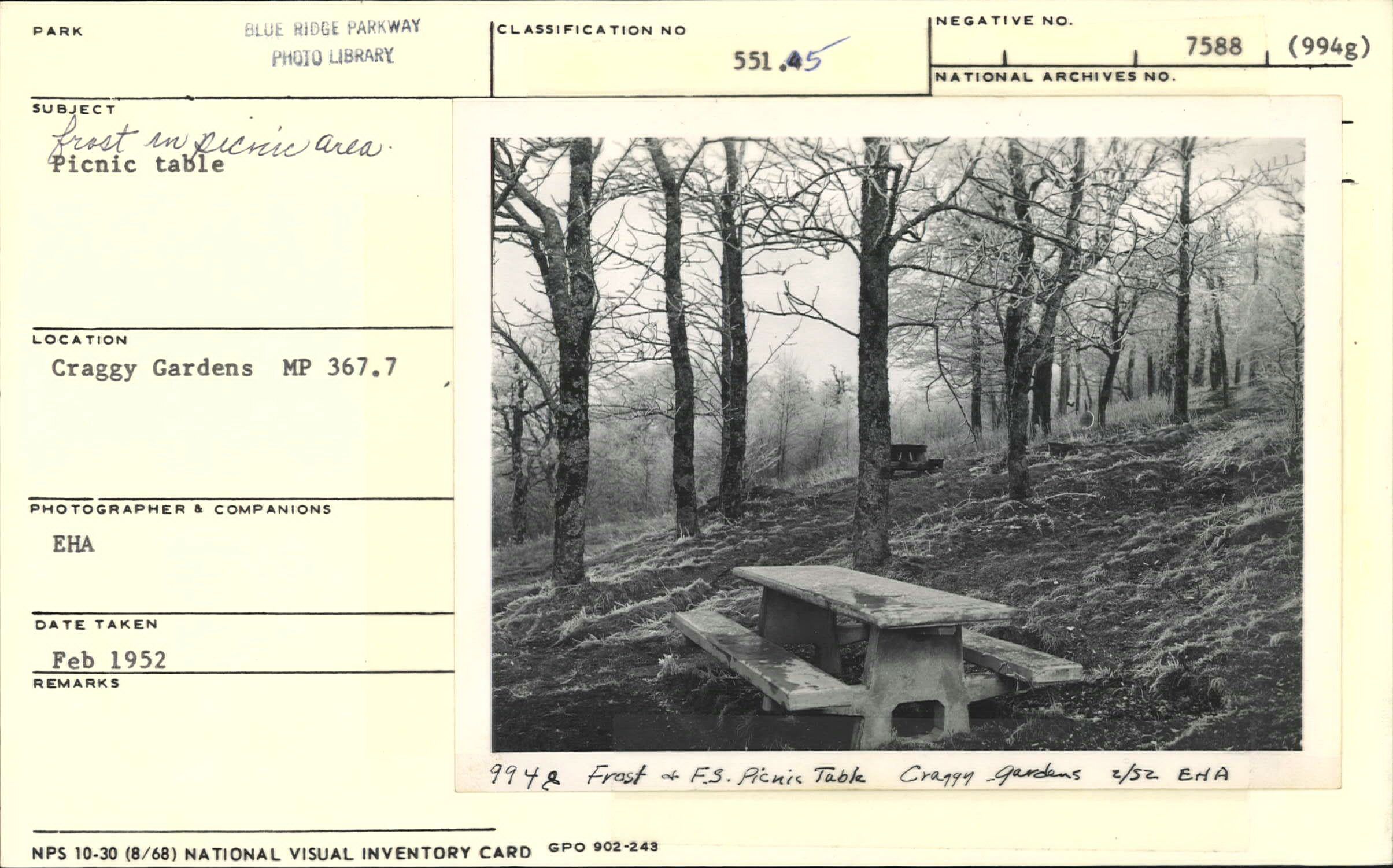 Frost in Craggy Gardens Picnic Area