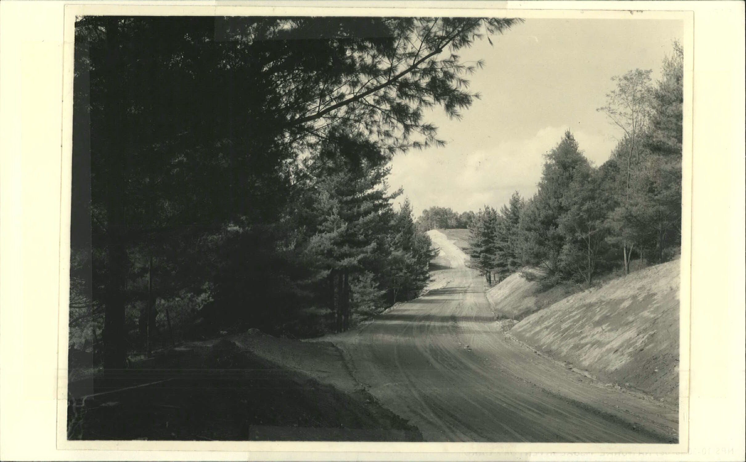 View through pine section looking south, Rattlesnake Mountain on the right