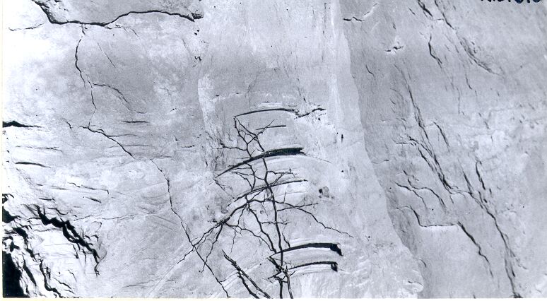 Erosion of Sandstone Cliff Face by Plant Blown by Wind