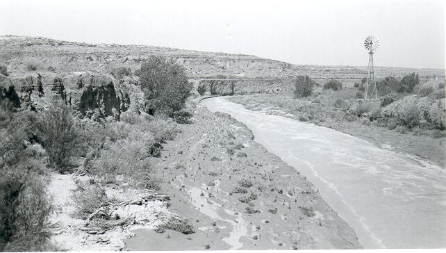 Erosion Control, New Planting Below Bridge After Flood