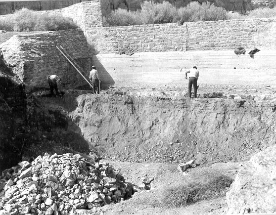 Mockingbird Drop Structure