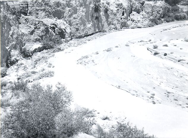 Erosion Control, 1952 Tree Planting and 1953 Tree and Cable Jetties