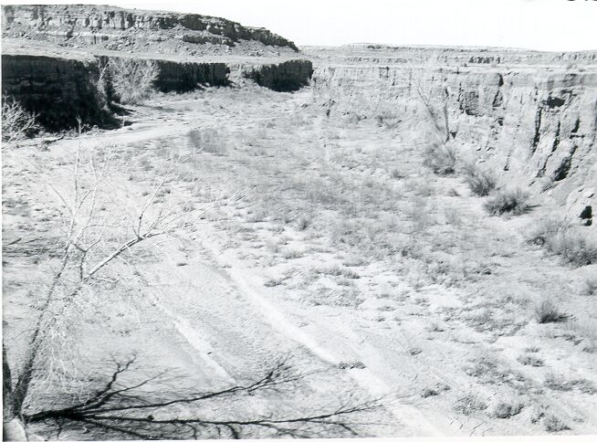 Streambank Erosion in Chaco Wash