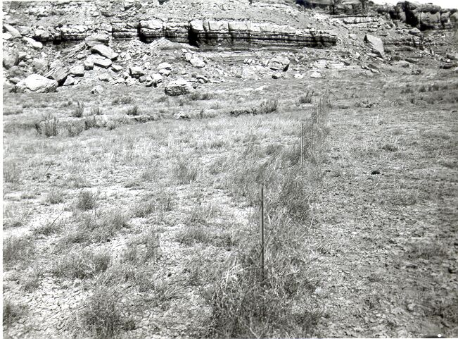 Erosion Control, Fencing to Increase Vegetative Cover