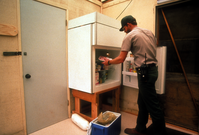 Old Ranger Residence San Miguel Island