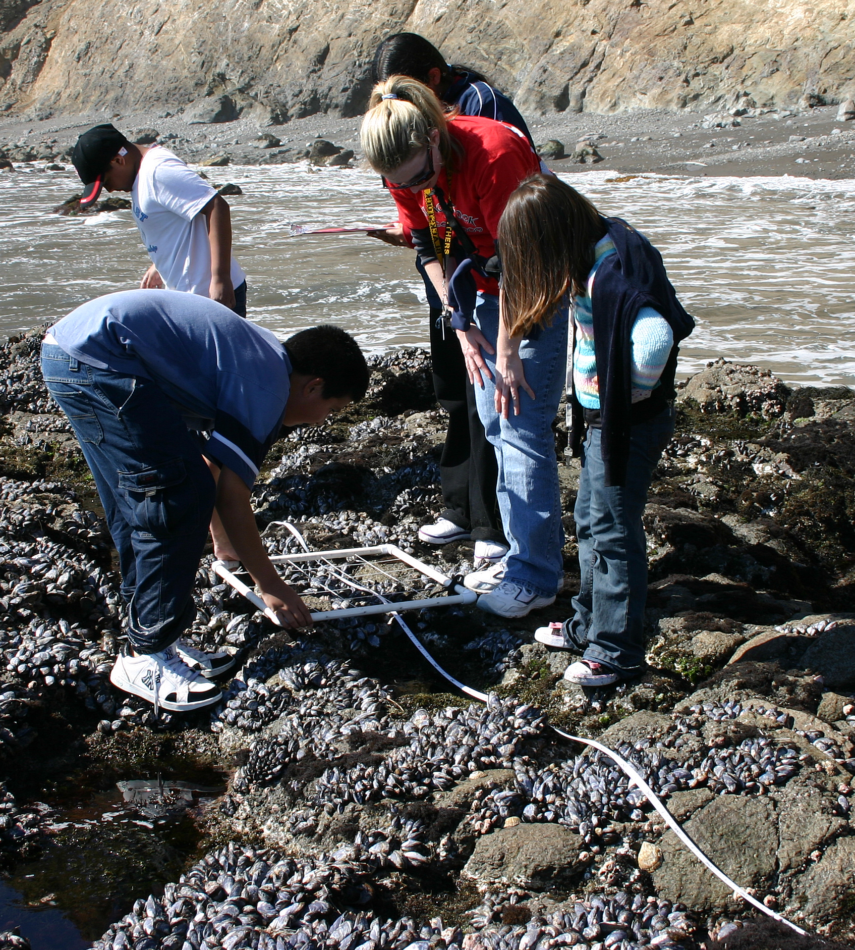 Students at Anacapa Tidepools