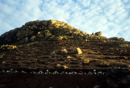 Auklet Condos on Prince Island