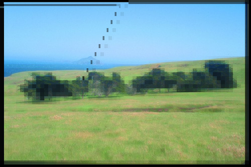 delphines grove tim hauf