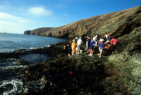 Visitors at Tidepools