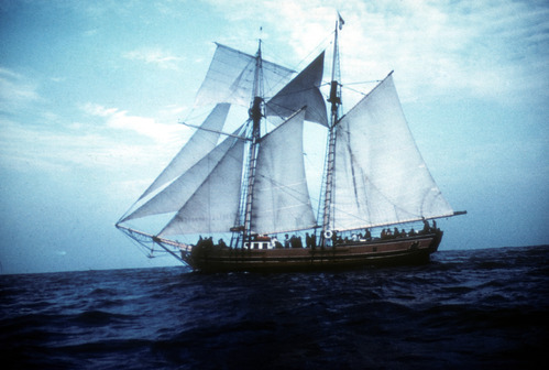 Sailing Vessel "Swift"