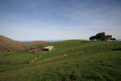 Santa Cruz_20070304_6537