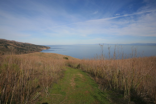 Santa Cruz_20070305_7010