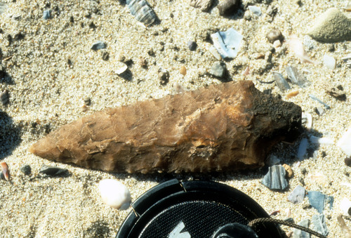 Projectile Point